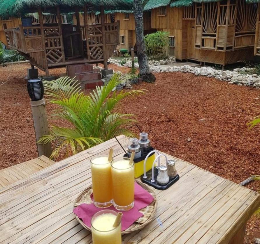 Nirvana Resort & Dive Centre - Moalboal Kültér fotó